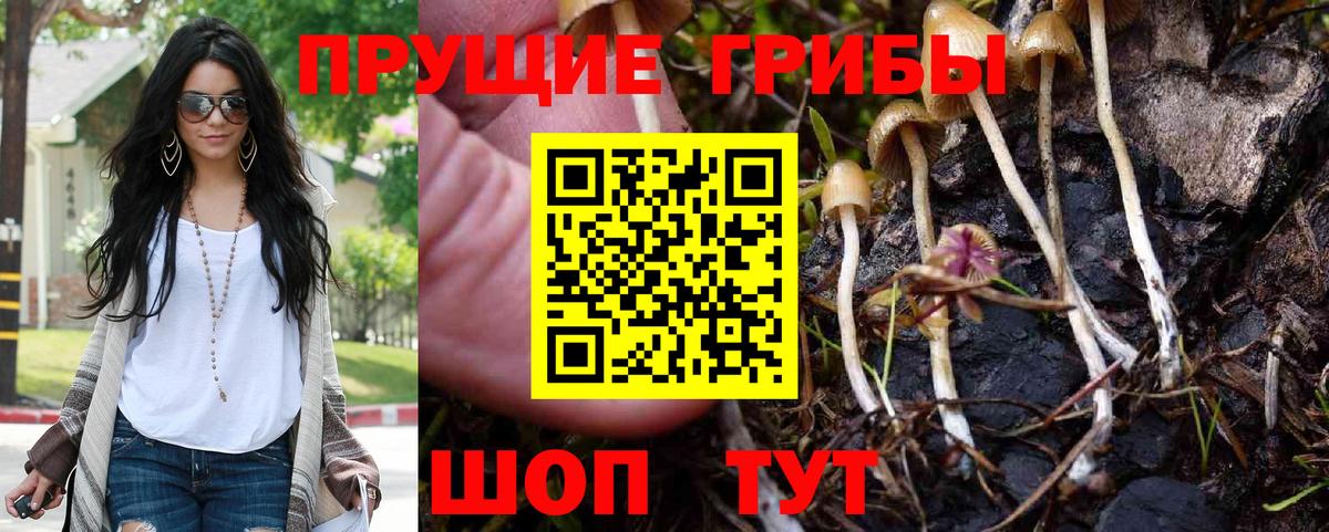 Псилоцибиновые грибы Psilocybine cubensis  Псилоцибиновые грибы GOLDEN TEACHER  Кушва  Вход с VPN 