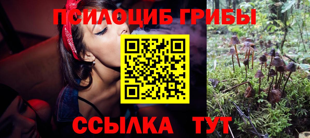 Галлюциногенные грибы Psilocybe Кушва